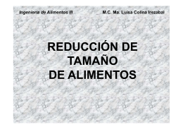 REDUCCION DE TAMAÑO. INTRODUCCIÓN (Pag. Web)