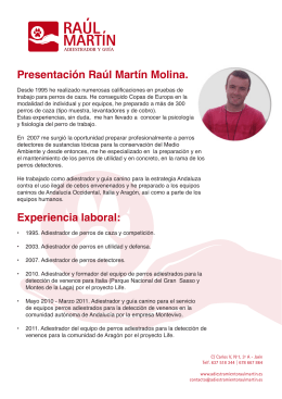 Presentación Raúl Martín Molina. Experiencia laboral: