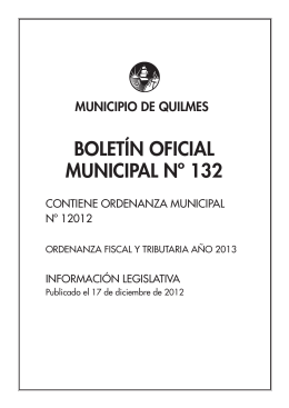 Boletín Oficial Municipal N° 132. Ordenanza