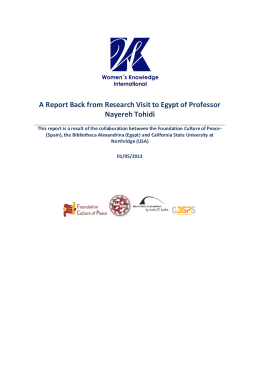 A Report Back from Research Visit to Egypt of Professor Nayereh
