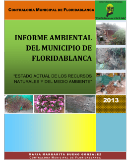 2013 informe ambiental del municipio de floridablanca