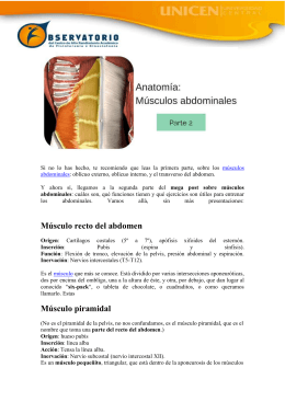 Músculo recto del abdomen Músculo piramidal