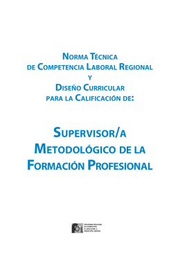 supervisor/a metodológico de la formación profesional