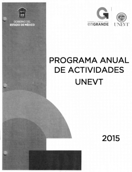 programa anual de actividades unevt 2015