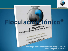 Floculación Iónica®