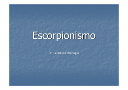 Escorpionismo - Ministerio de Salud Jujuy