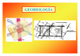 Descargar presentación sobre Geobiología dando clic aquí