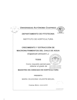 Capsicum annuum L. - Universidad Autónoma Chapingo