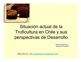 Trufas en Chile