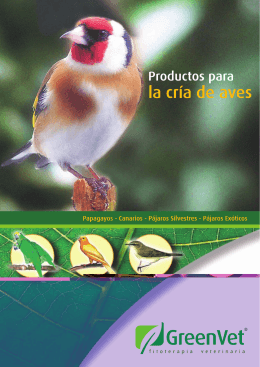 Papagayos - Canarios - Pájaros Silvestres
