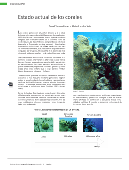 Estado actual de los corales. Formato PDF