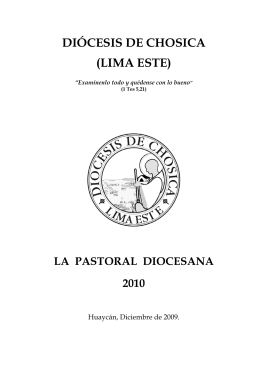 la pastoral diocesana 2010