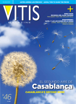 Casablanca - Vitis Magazine