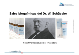 Remedios naturales con Sales de Schüssler