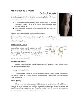 PDF Articulación de la rodilla