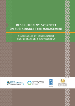 RESOLUTION N° 523/2013 ON SUSTAINABLE TYRE MANAGEMENT