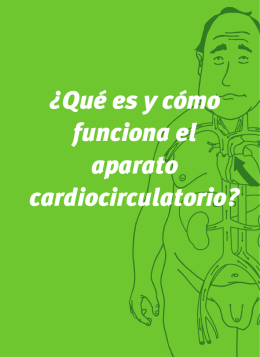 ¿Qué es y cómo funciona el aparato cardiocirculatorio?