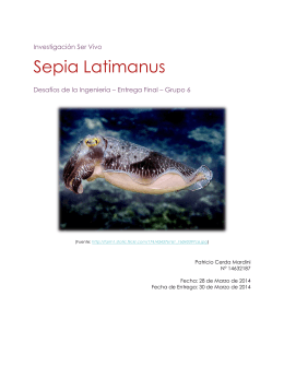 Sepia Latimanus