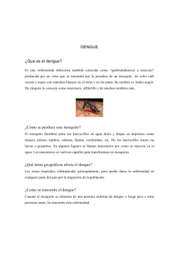 DENGUE ¿Que es el dengue? ¿Como se produce este mosquito