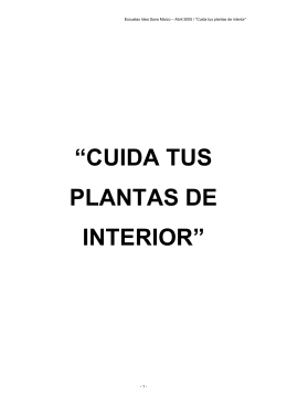 “CUIDA TUS PLANTAS DE INTERIOR”