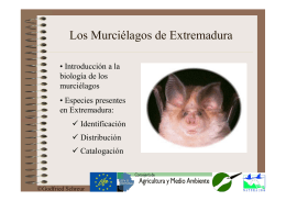 Los Murciélagos de Extremadura