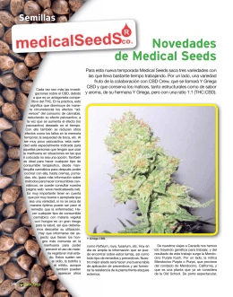 Semillas Novedades de Medical Seeds