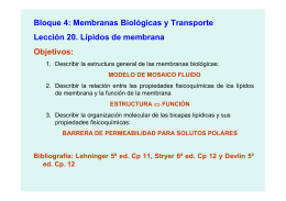 Bloque 4: Membranas Biológicas y Transporte Lección 20