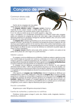 Cangrejo de mar - Fundación Española de la Nutrición