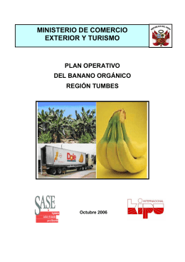 plan operativo del banano orgánico región tumbes ministerio de