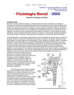 - Fisiología Renal - 2010 - David Martínez Duncker R.