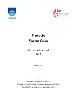 Informe Flor de Ceibo 2011 - EVA