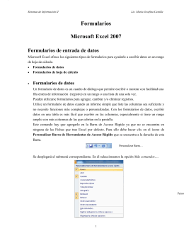 Formularios Microsoft Excel 2007