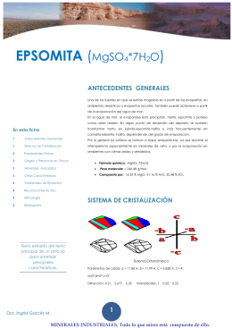 EPSOMITA (MgSO4*7H2O)·