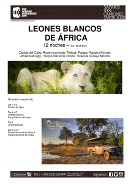 LEONES BLANCOS DE ÁFRICA - TheAfricanExperiences.com