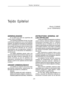 Tejido Epitelial - Histología Virtual