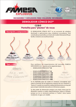 DEMOLEDOR CÓNICO DCF® Características técnicas