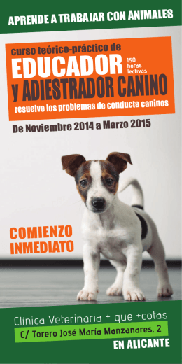 folleto curso educacion canina