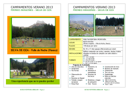 Folleto Campamento Pirineo Aragonés 2013. Ecoaventura