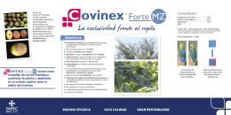 Folleto Covinex Forte Mz Otoño en olivar.