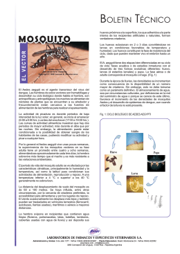 folleto Info Tec Dengue v3.cdr