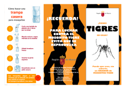 folleto tigre