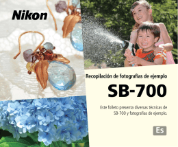 SB-700 - Nikon