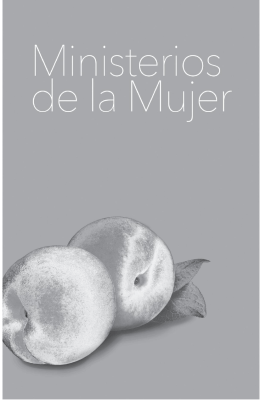 folleto mm - Asociación Veracruzana del Sur