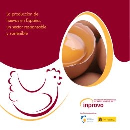 La producción de huevos en España, un sector