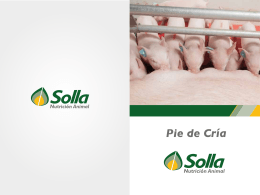 OC+104+Solla Balanceados+Folleto Solla Porcicultura+28feb12 copy