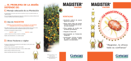 MAGISTER folleto triptico