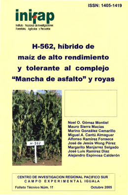 H-562, híbrido de maíz de alto rendimiento y tolerante al complejo