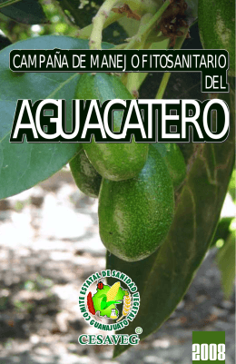 folleto aguacate 08.cdr