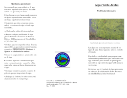 blue-green alga brochure sp 7 15 11