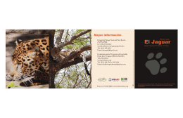 folleto jaguar español final